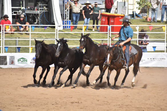 efaa3227 6183 4592 bf92 bbc191651b3b